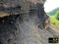 Schlackegrube nördlich des Nerother Kopf bei Oberstadtfeld, Vulkaneifel, Rheinland-Pfalz, (D) (13) 01. Juni 2014.JPG